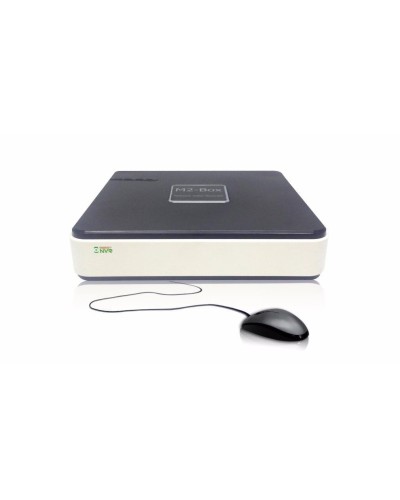 BestNVR-400. IP-видеосервер 4-канальный. BestDVR в Ижевске