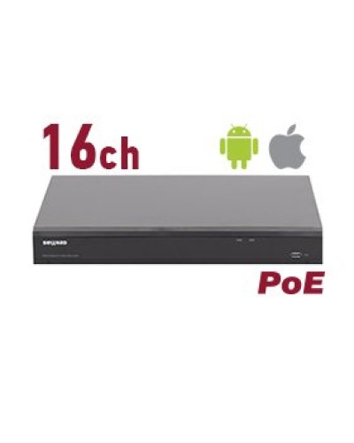 RK2216-P. Видеорегистратор IP 16-канальный. Beward в Ижевске