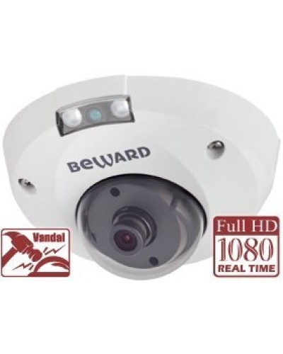 NK55630D8. IP-камера купольная. Beward в Ижевске