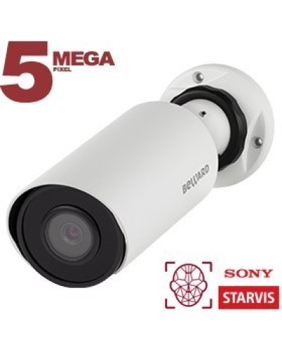SV3218R2 (6мм). Видеокамера IP цилиндрическая. Beward в Ижевске