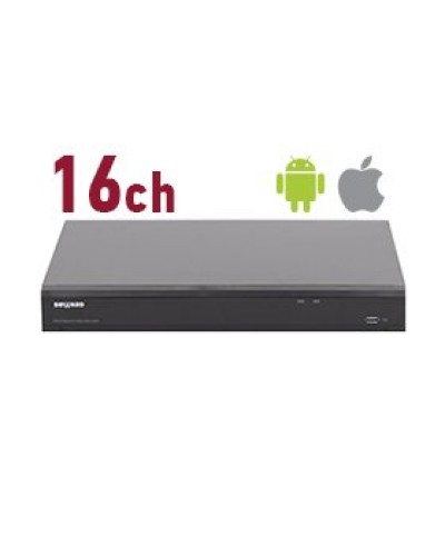 RK2216. Видеорегистратор IP 16-канальный. Beward в Ижевске