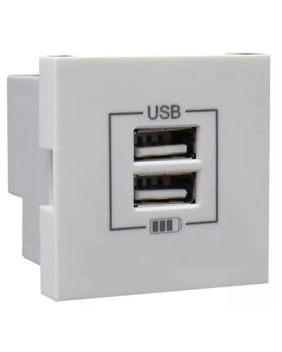 Розетка USB двойная, зарядная, белая (45439 SBR): Розетка USB двойная в Ижевске