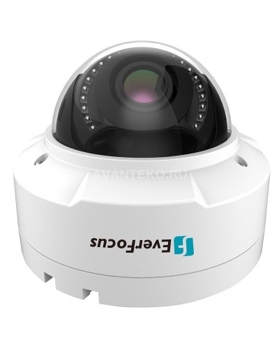 EHN-1250. Видеокамера IP купольная. EverFocus в Ижевске