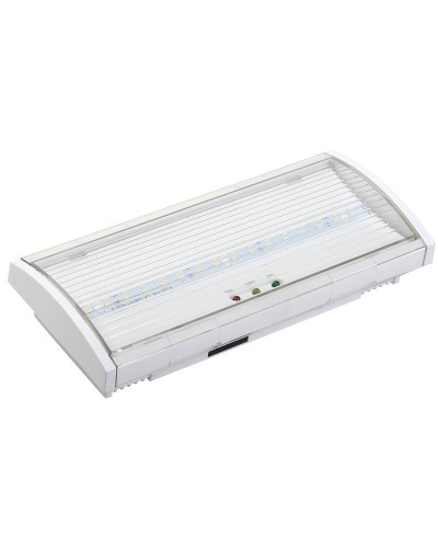 Светильник аварийный ДПА 5040-1 1ч IP54 LIGHTING (LDPA0-5040-1H-K01). Светильник аварийный постоянного действия. IEK в Ижевске
