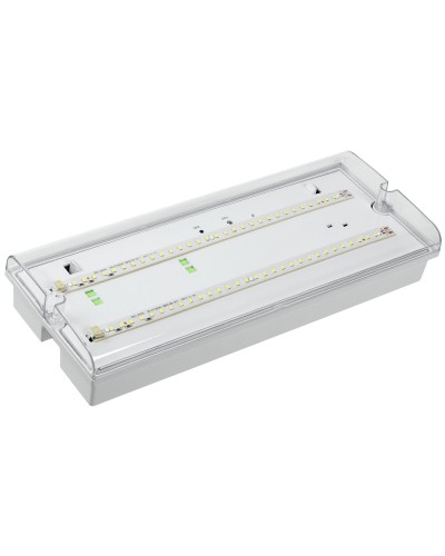 Светильник аварийный ДПА 5042-1 1ч IP65 LIGHTING (LDPA0-5042-1-65-K01). Светильник аварийный универсальный. IEK в Ижевске