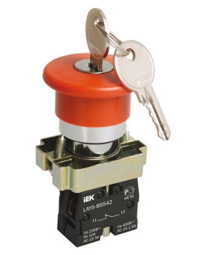 Кнопка LAY5-BS142 Грибок с ключом D22мм (BBG50-LAY5-K04). Кнопка. IEK в Ижевске