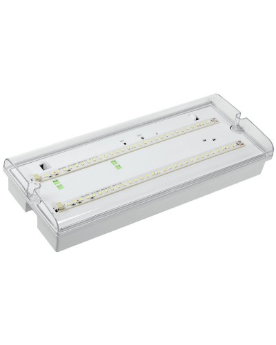 Светильник аварийный ДПА 5042-3 3ч IP65 LIGHTING (LDPA0-5042-3-65-K01). Светильник аварийный универсальный. IEK в Ижевске