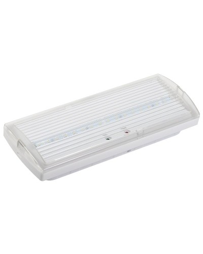 Светильник аварийный ДПА 5030-3 3ч IP20 LIGHTING (LDPA0-5030-3H-K01). Светильник аварийный постоянного действия. IEK в Ижевске