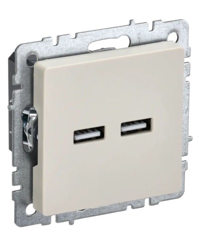 Розетка USB A+A 3,1А РЮ10-1-БрКр бежевый BRITE (BR-U21-D31-K10). Розетка USB. IEK в Ижевске