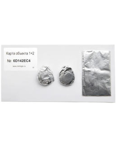 Карта объекта 1+2. Проксимити карта. IronLogic в Ижевске