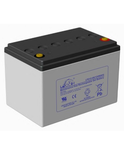LEOCH LPG 12-60. Аккумулятор герметичный свинцово-кислотный. LEOCH в Ижевске
