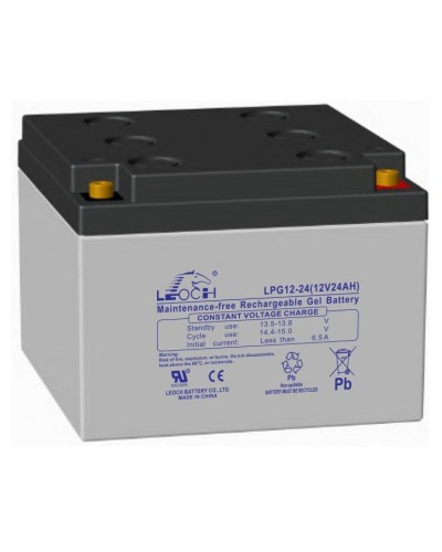 LEOCH LPG 12-24. Аккумулятор герметичный свинцово-кислотный. LEOCH в Ижевске