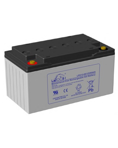 LEOCH LPG 12-65. Аккумулятор герметичный свинцово-кислотный. LEOCH в Ижевске