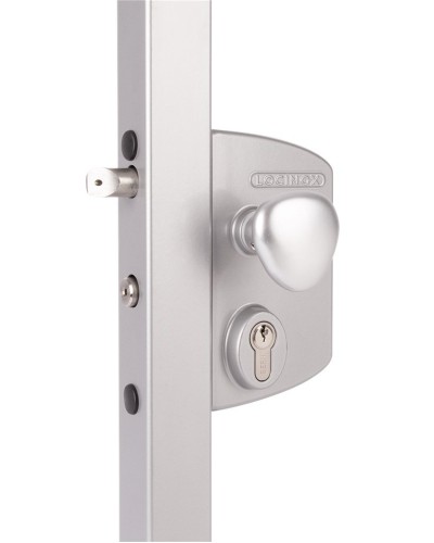 LIKQ4040 U2L (цвет: RAL 9005, черный). Замок электромеханический для калиток. Locinox в Ижевске