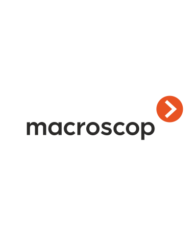 Расширение с LS до ST. Программное обеспечение (опция). MACROSCOP в Ижевске