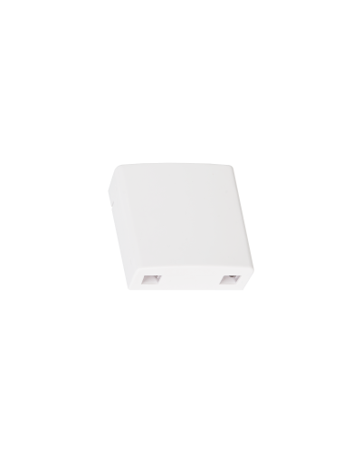 NMF-WO2-BLANK-CS-WT. Корпус настенной розетки. NIKOMAX в Ижевске