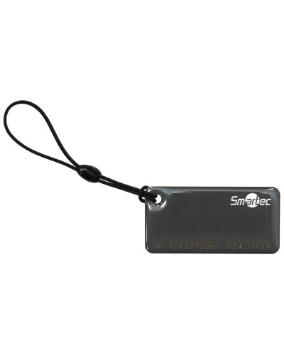 ST-PT015MF-GR. Брелок. Smartec в Ижевске