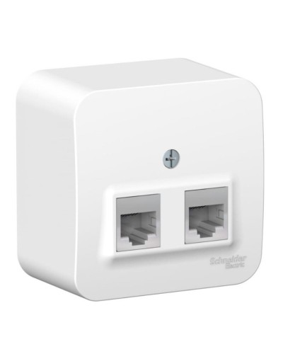 BLANCA розетка RJ11+RJ45, 2-местная, кат. 5Е, открытой установки, белый (BLNIA045111). Розетка компьютерная + телефонная с изолированной пластиной. Systeme Electric в Ижевске