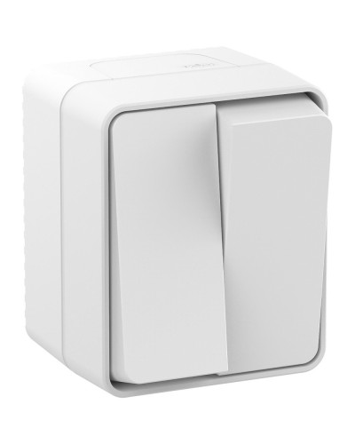 AtlasDesign PROFI54 выключатель 2-клавишный, открытой установки, белый (ATN540151). Выключатель. Systeme Electric в Ижевске