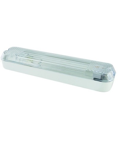ДПБ 01-2х6-001 12 Вт, LED, 1000 лм, 4000 К, IP40. Светильник вандалоустойчивый . TDM ЕLECTRIC в Ижевске