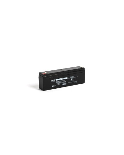SKAT SB 12022 (2539). Аккумулятор герметичный свинцово-кислотный. Бастион в Ижевске