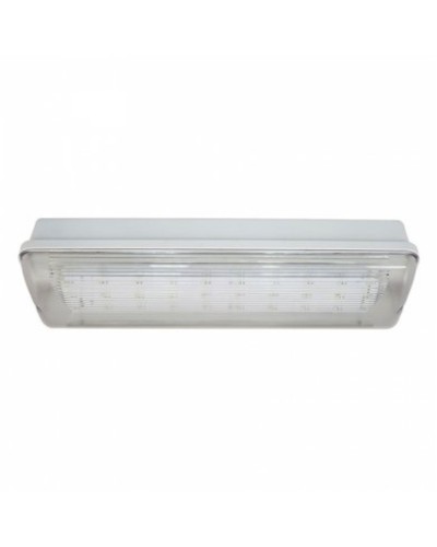 SL-213-30LED1.8 исп. 1 IP65. Светильник аварийного освещения. ИП Раченков А.В. в Ижевске