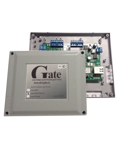 Gate-8000 Ethernet. Сетевой контроллер. Равелин в Ижевске