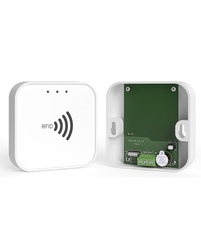 RFID-TM. Считыватель RFID. Ритм в Ижевске