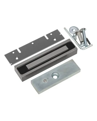 ML-200K Premium Grey с планкой. Замок электромагнитный. AccordTec в Ижевске
