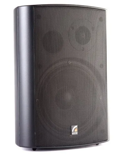 MS-20TB (ROXTON). Звуковая настенная колонка. ROXTON в Ижевске
