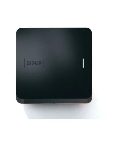 Sigur MR100 Multi. Считыватель. SIGUR в Ижевске