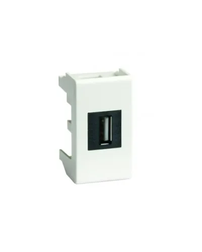 Розетка USB 2.0 Brava 1 модуль слоновая кость (75200S): Розетка USB в Ижевске