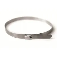 Хомут из нержавеющей стали AISI 316 8х500 (30 шт) (27615): Хомут из нержавеющей стали