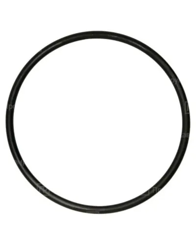 Кольцо резиновое уплотнительное для двустенной трубы D50 (PR08.3156). Кольцо резиновое уплотнительное для двустенной трубы. Промрукав в Ижевске